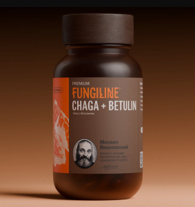 CHAGA + BETULIN • 100 капсулCHAGA + BETULIN • 100 капсул
