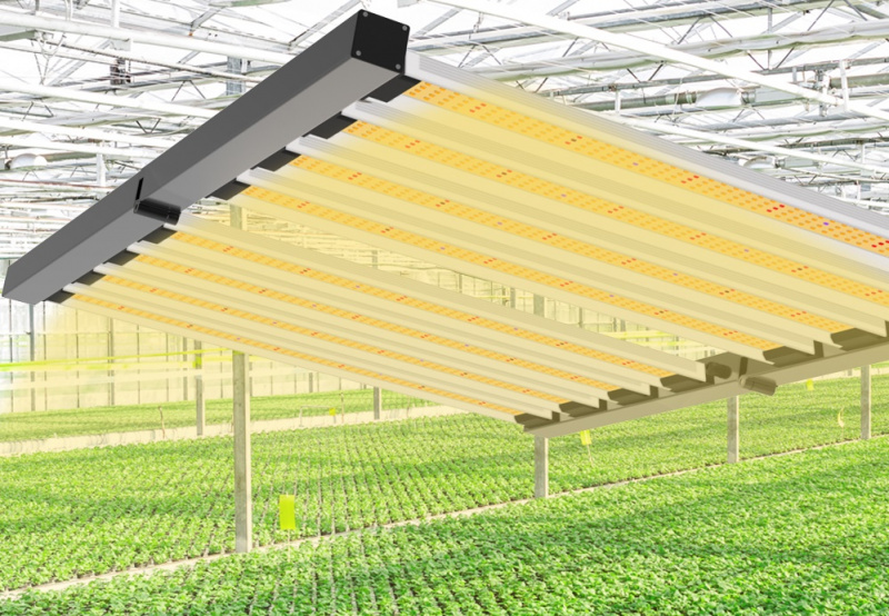 Фитосветильник Growsvet LED FB 480W ОптимаФитосветильник Growsvet LED FB 480W Оптима